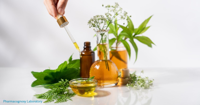 Pharmacognosy Workshop — Herbal Garden
